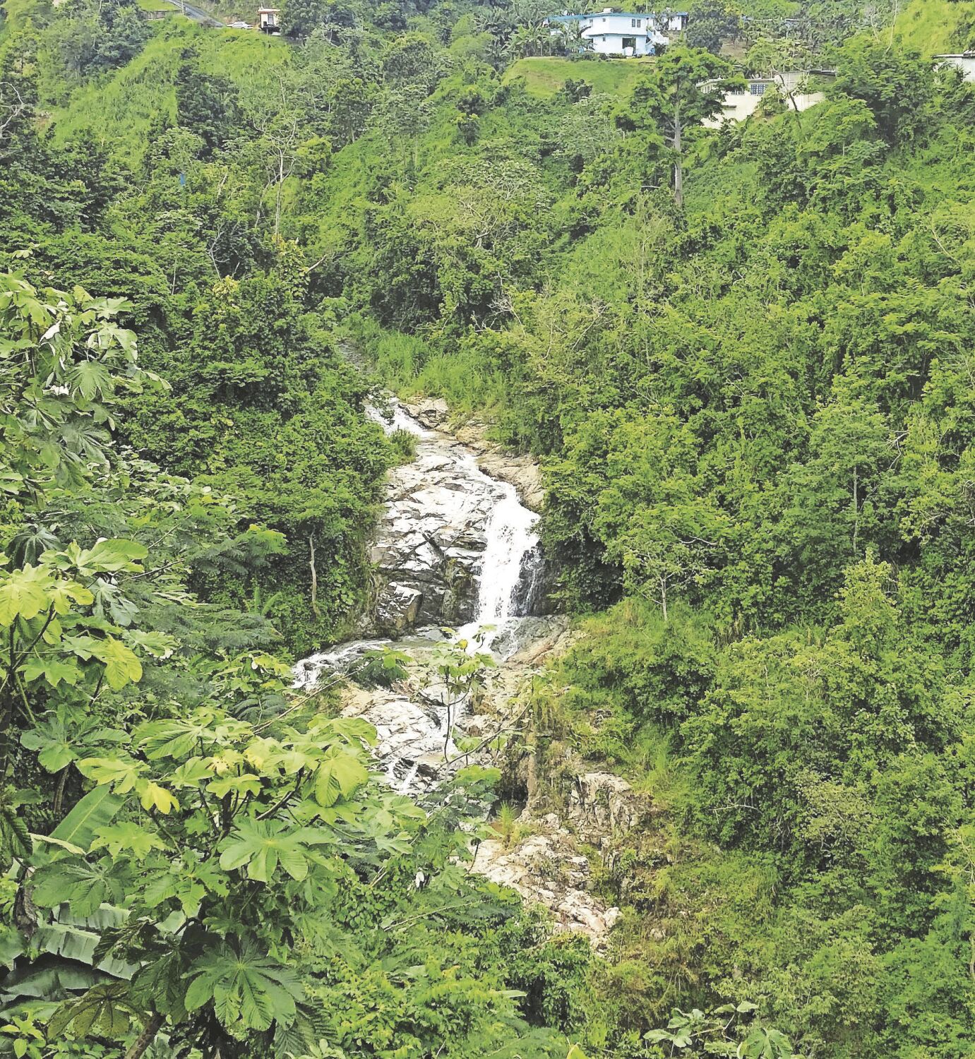 naranajito